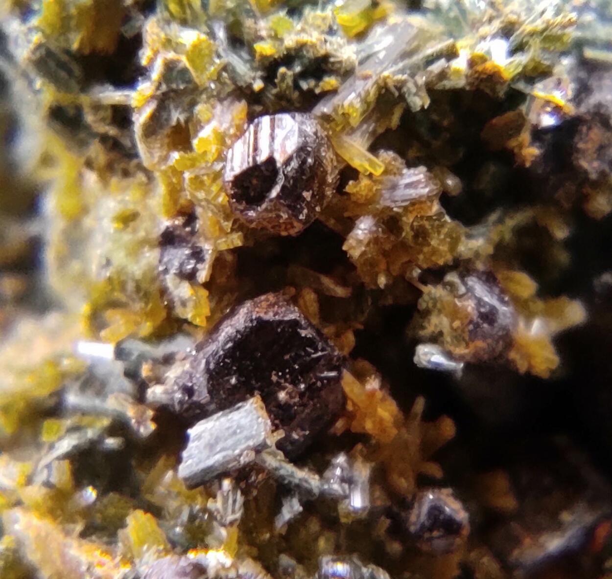 Axinite Pyrite Ferro-actinolite & Epidote