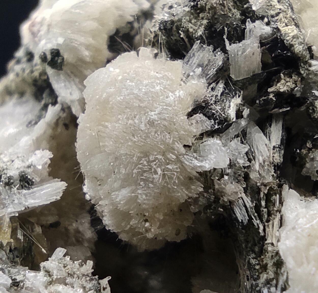 Titanite Prehnite Ferro-actinolite Albite & Tremolite