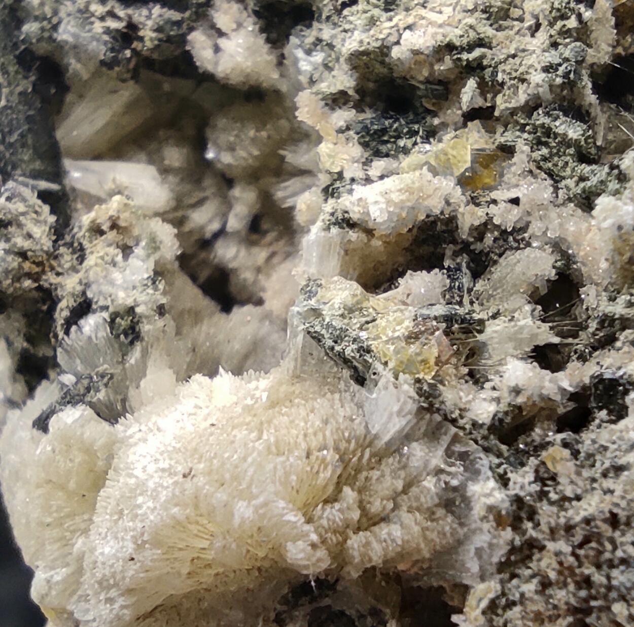 Titanite Prehnite Ferro-actinolite Albite & Tremolite