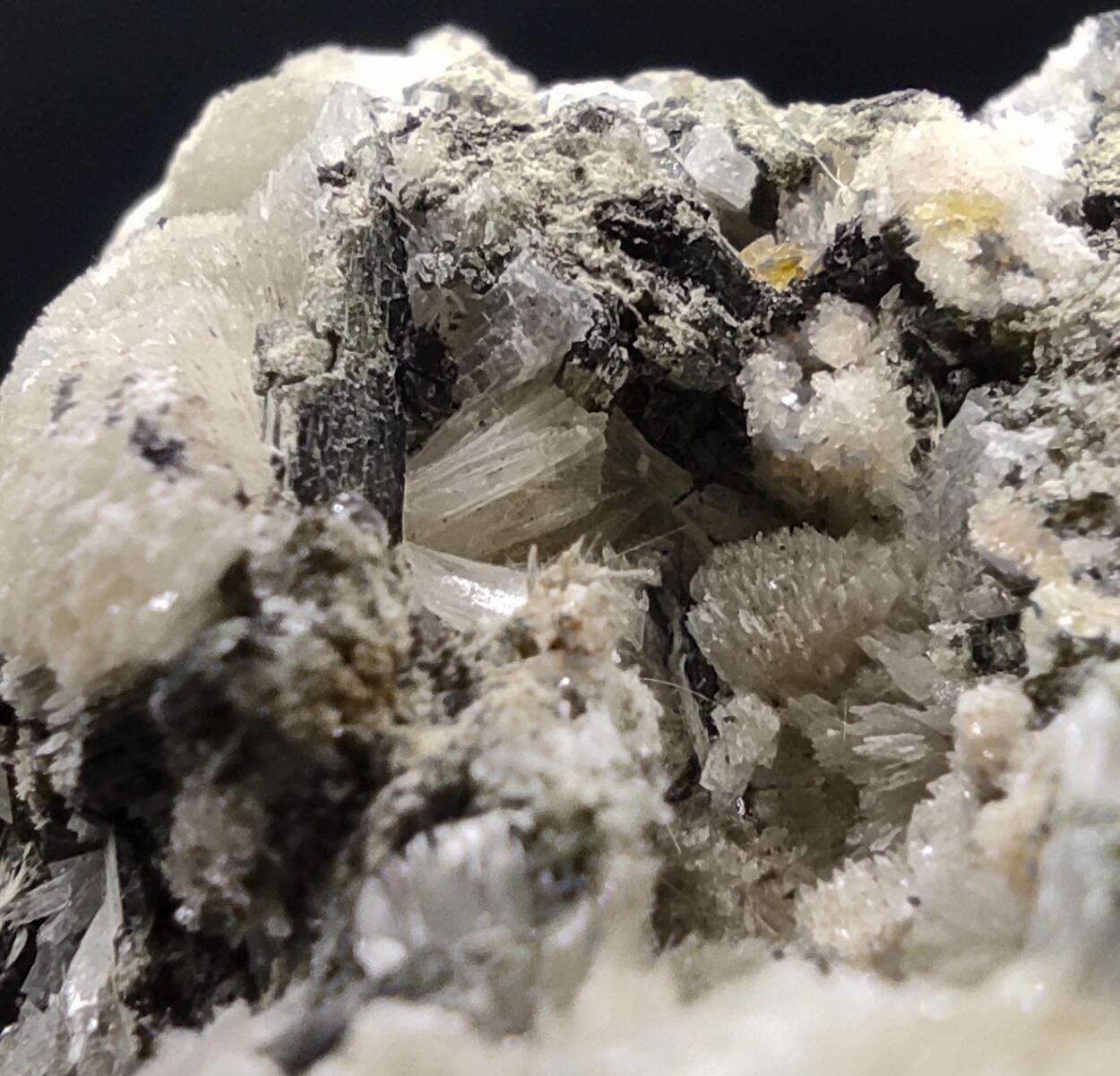 Titanite Prehnite Ferro-actinolite Albite & Tremolite