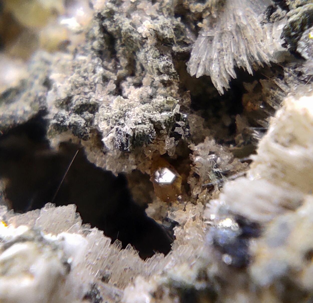 Titanite Prehnite Ferro-actinolite Albite & Tremolite