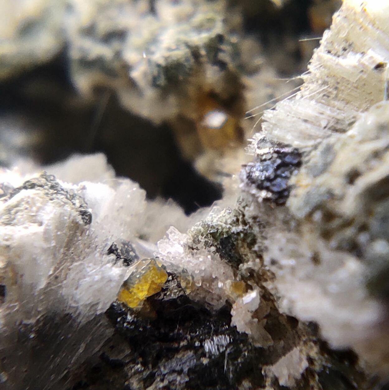 Titanite Prehnite Ferro-actinolite Albite & Tremolite