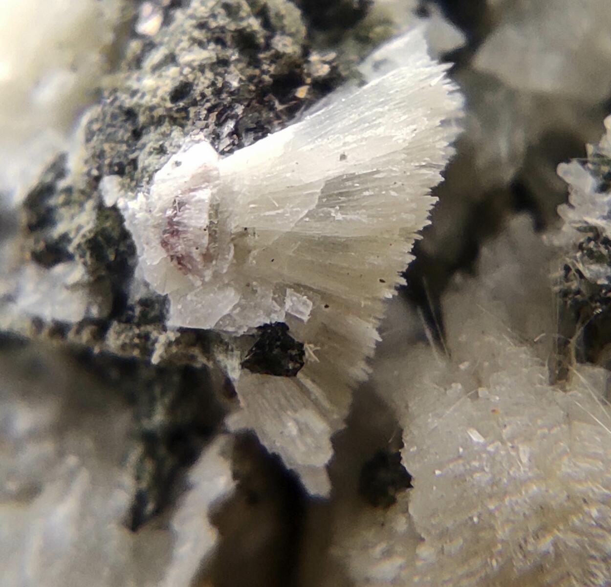 Titanite Prehnite Ferro-actinolite Albite & Tremolite