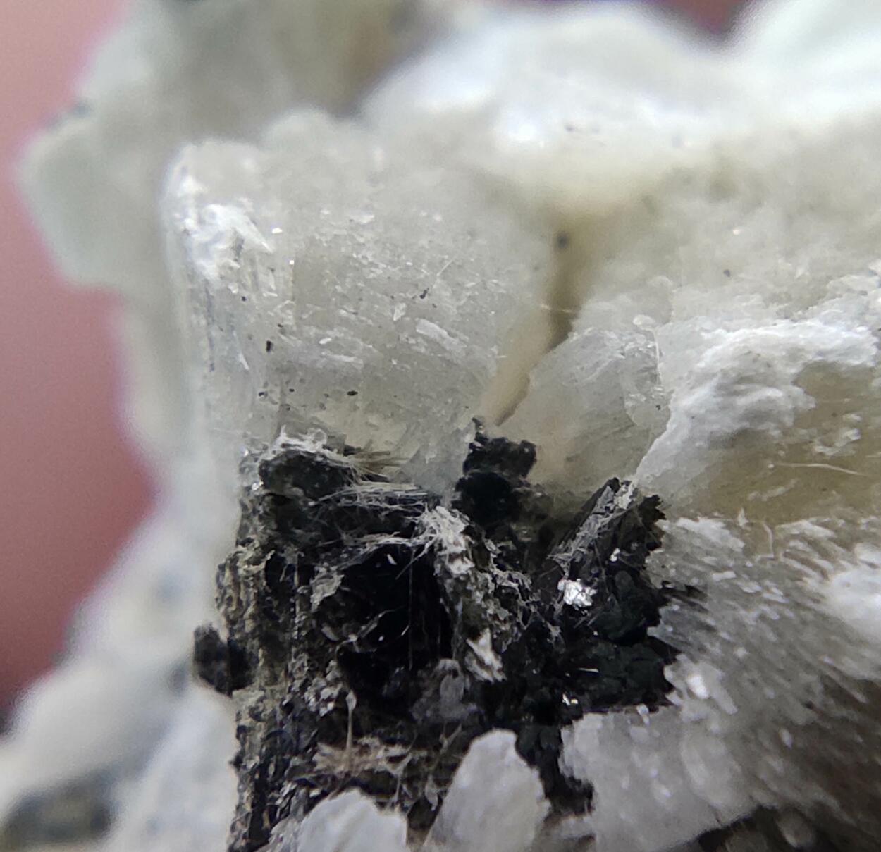 Titanite Prehnite Ferro-actinolite Albite & Tremolite