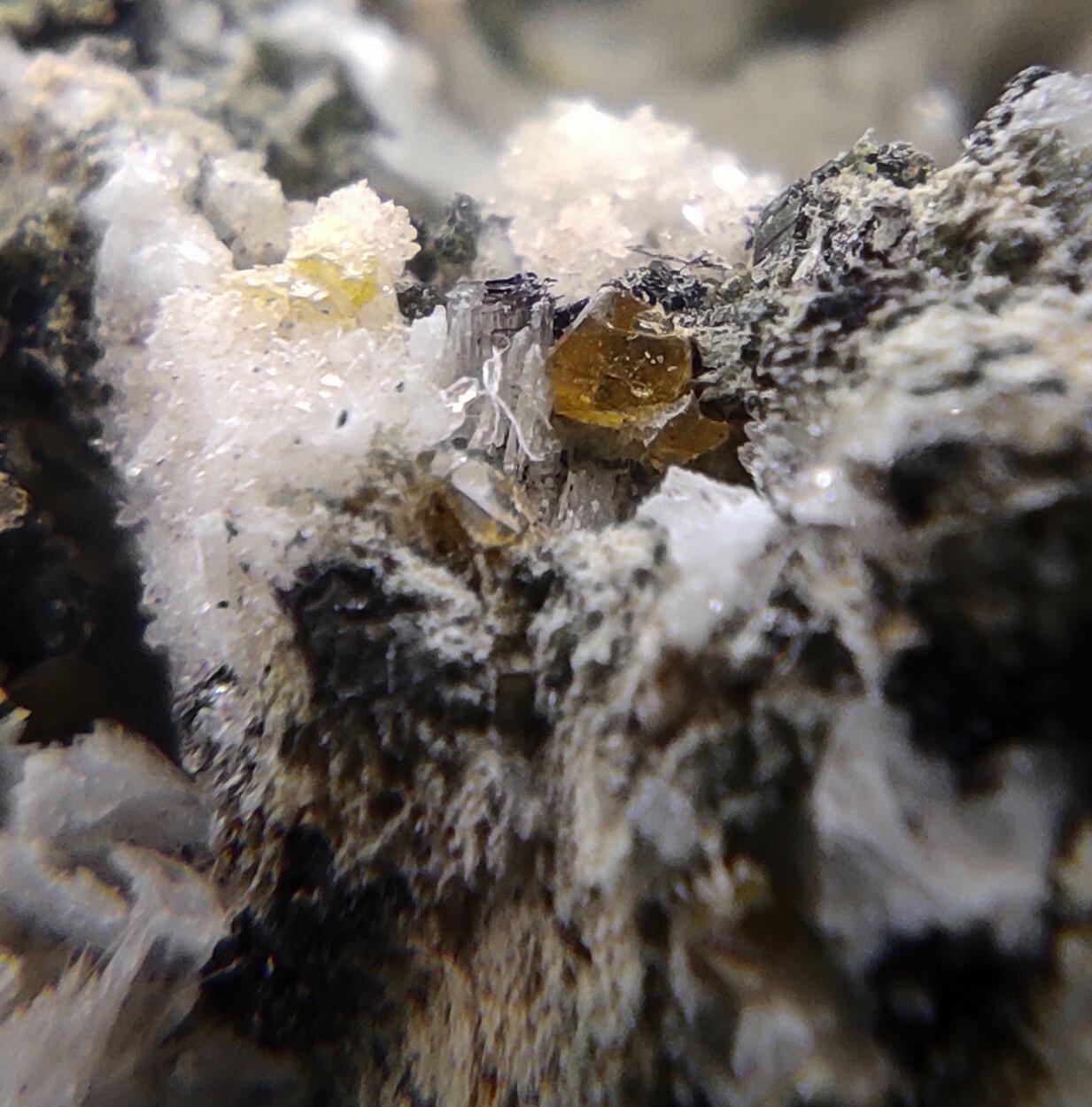 Titanite Prehnite Ferro-actinolite Albite & Tremolite