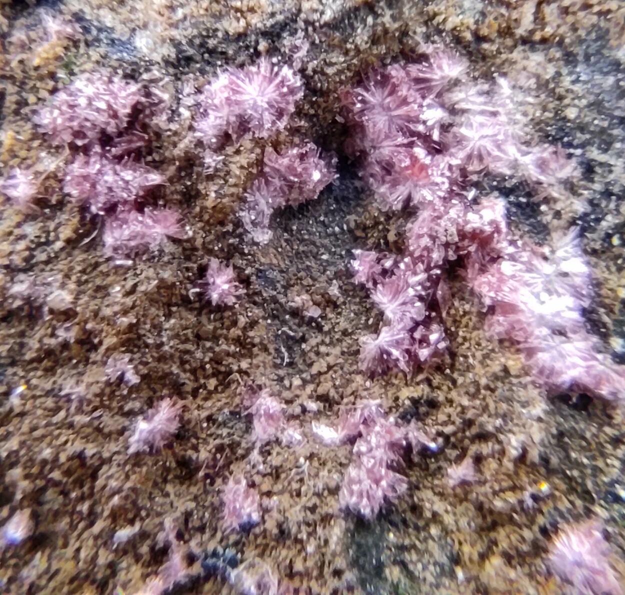 Erythrite