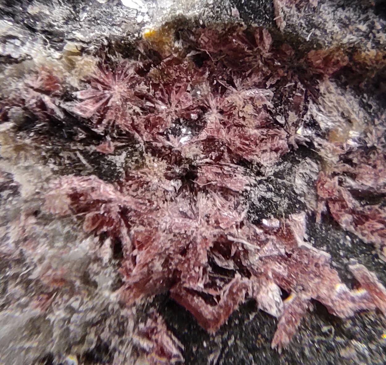 Erythrite