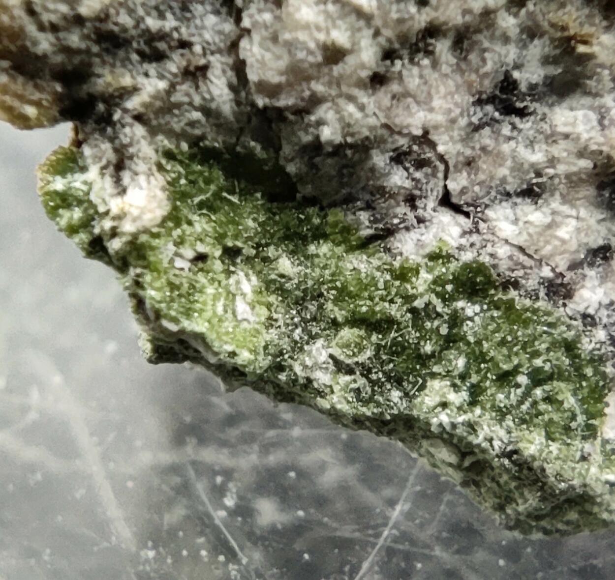 Lindgrenite & Orthoserpierite