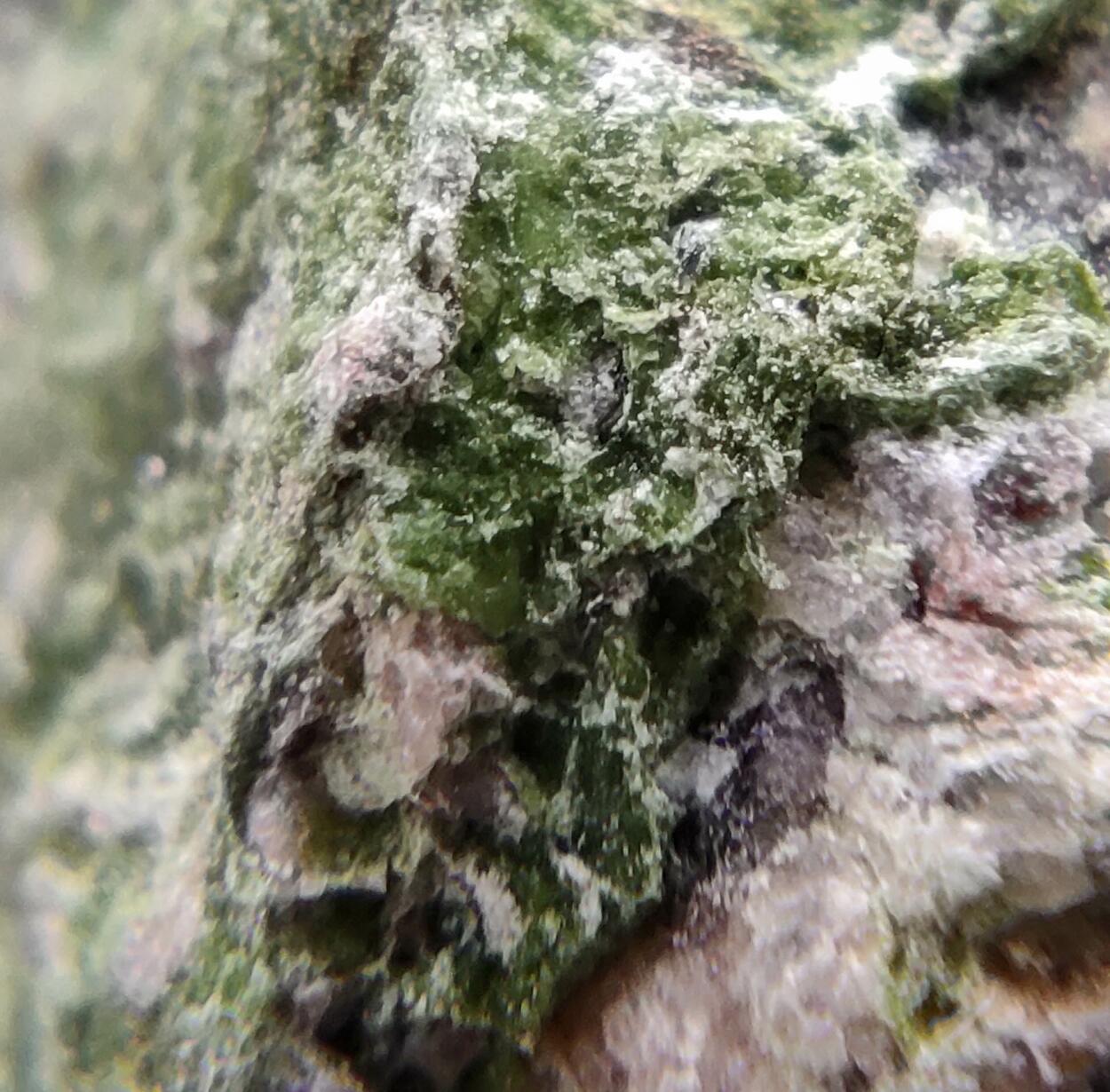 Lindgrenite & Orthoserpierite