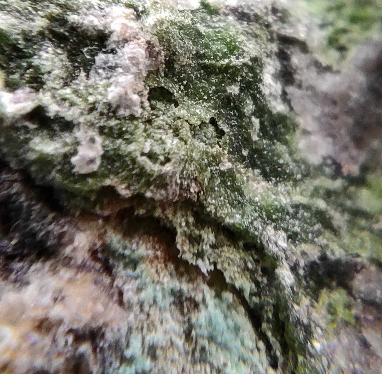 Lindgrenite & Orthoserpierite