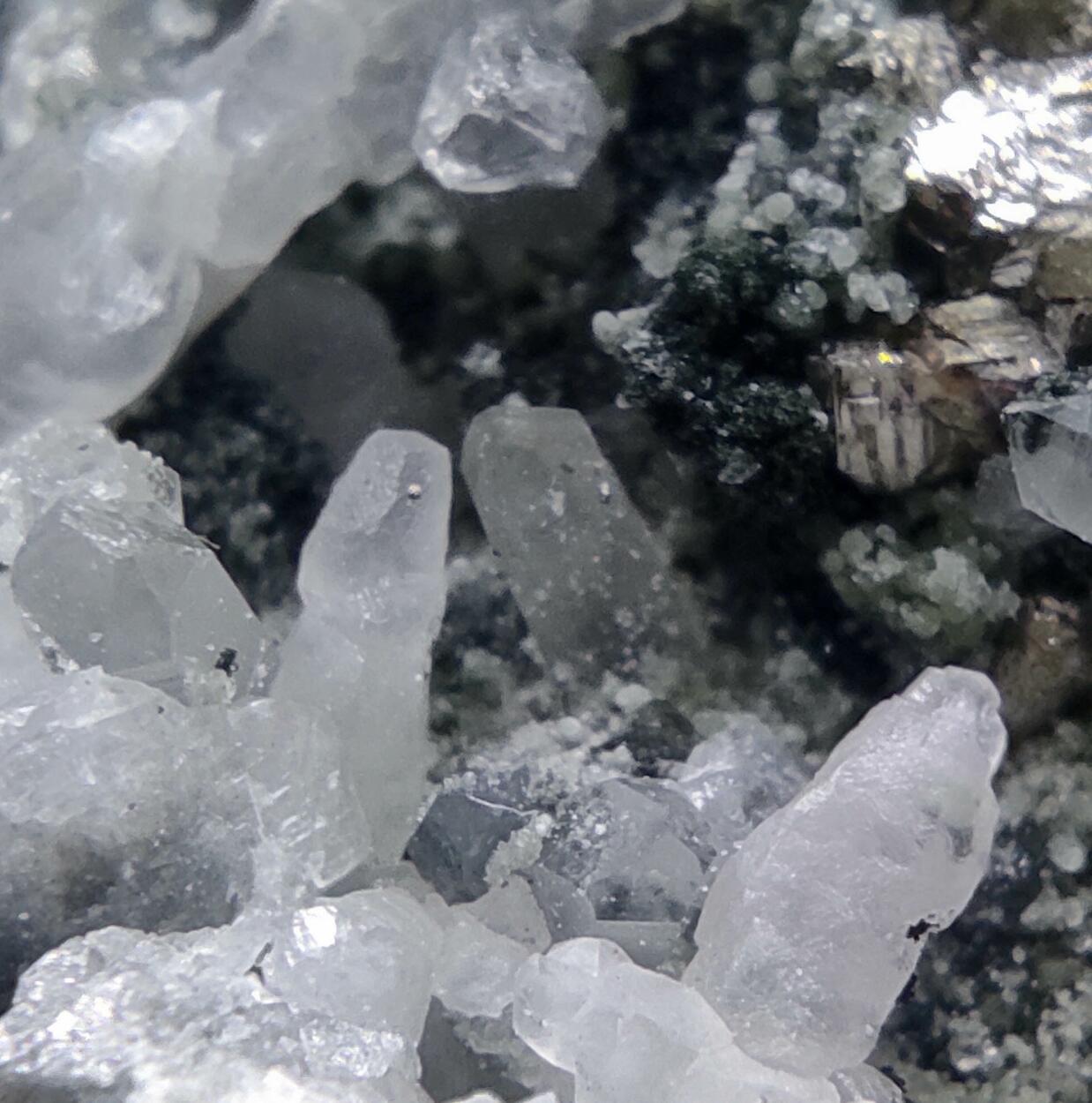 Pyrite & Quartz