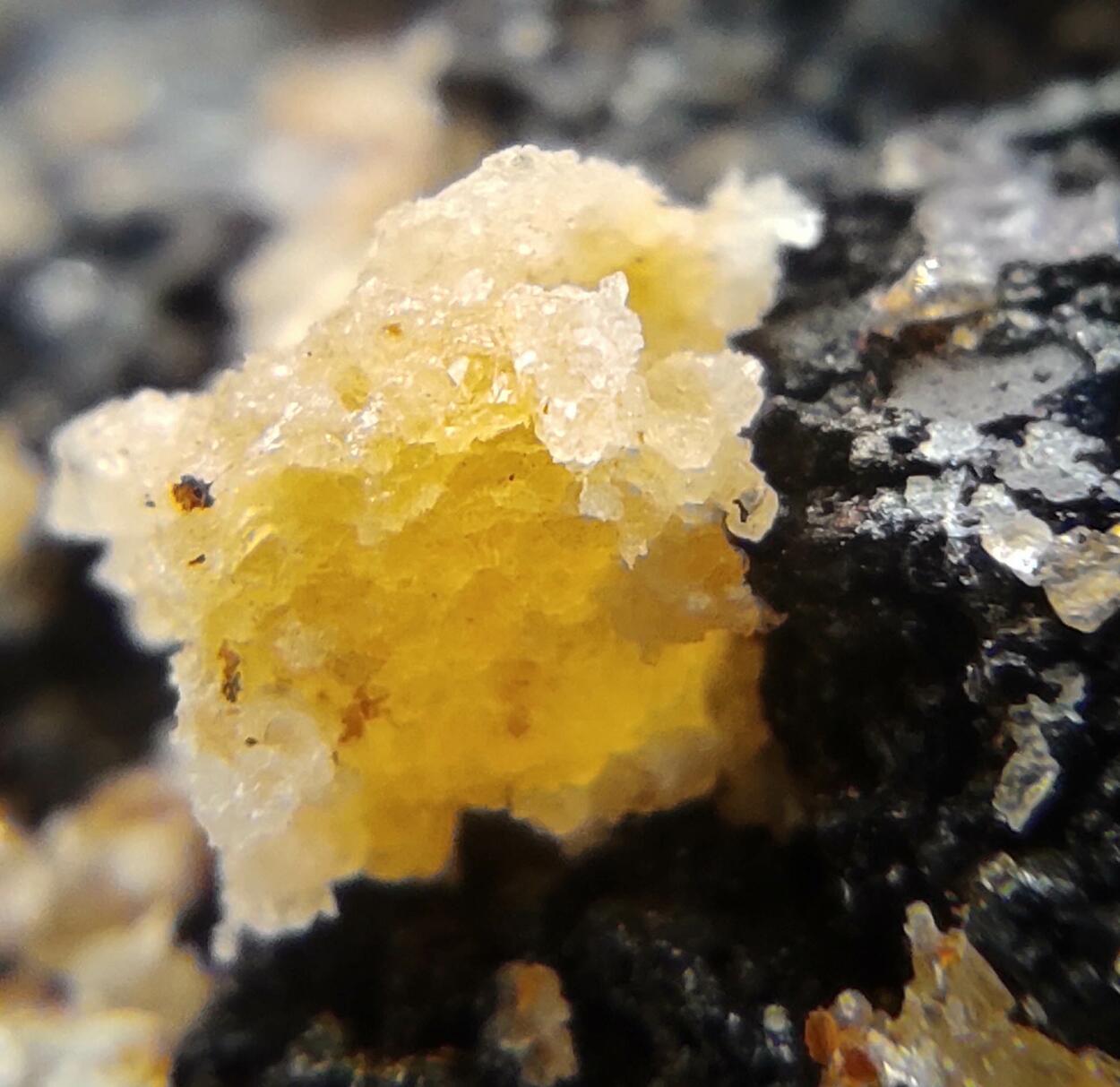 Willemite Mimetite & Cerussite On Goethite & Limonite