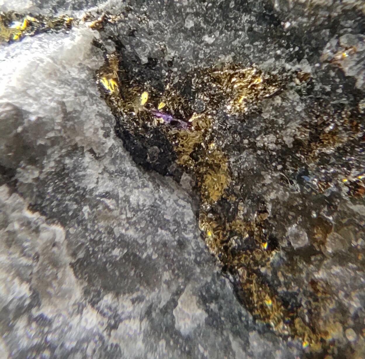 Devilline Chalcopyrite & Galena
