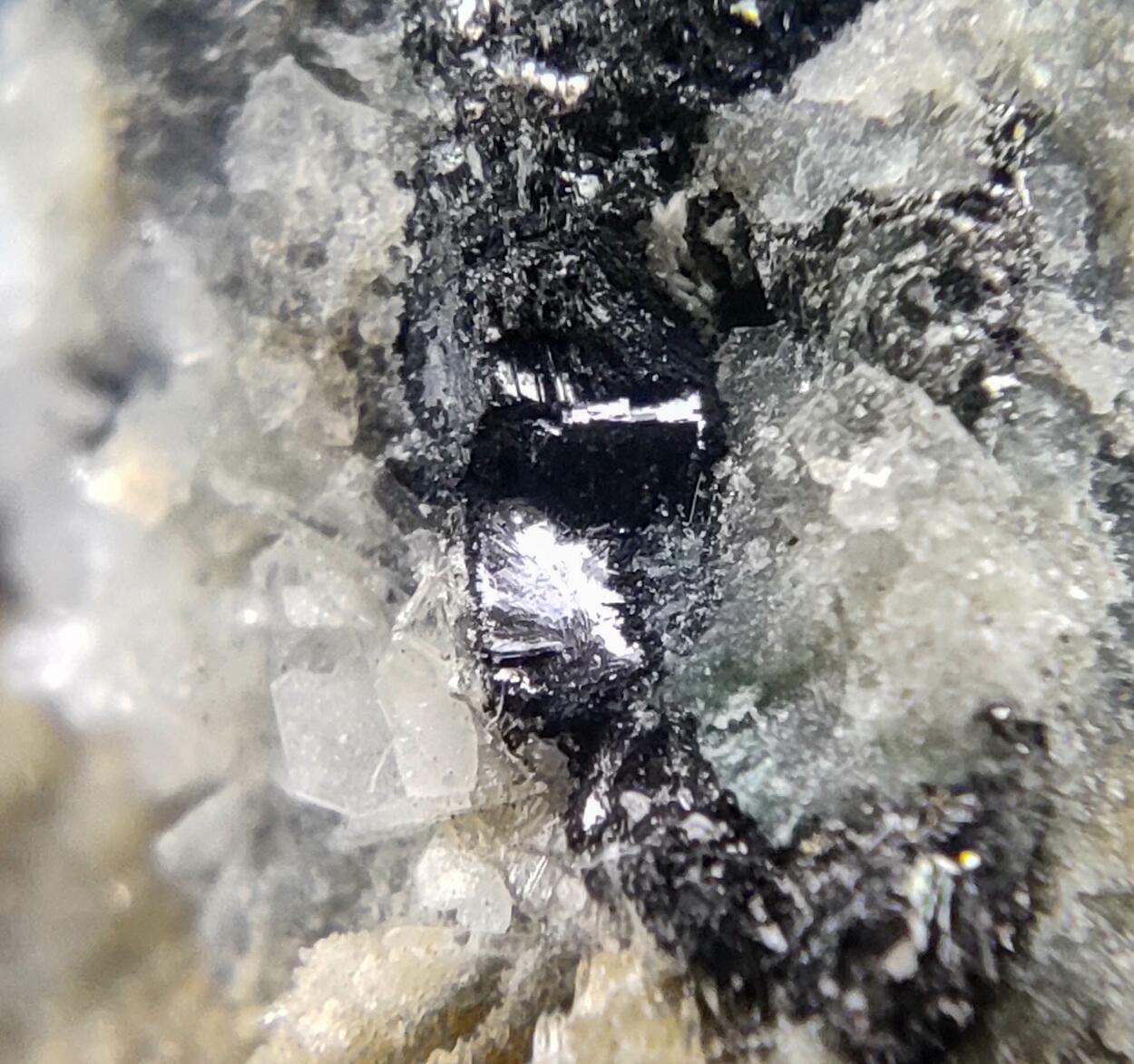 Devilline Chalcopyrite & Galena