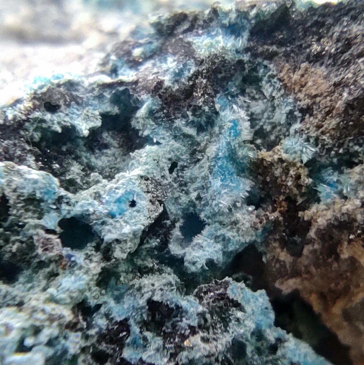 Devilline Chalcopyrite & Galena