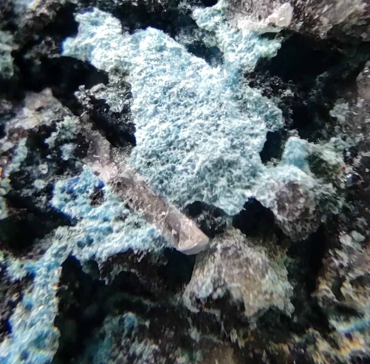 Devilline Chalcopyrite & Galena