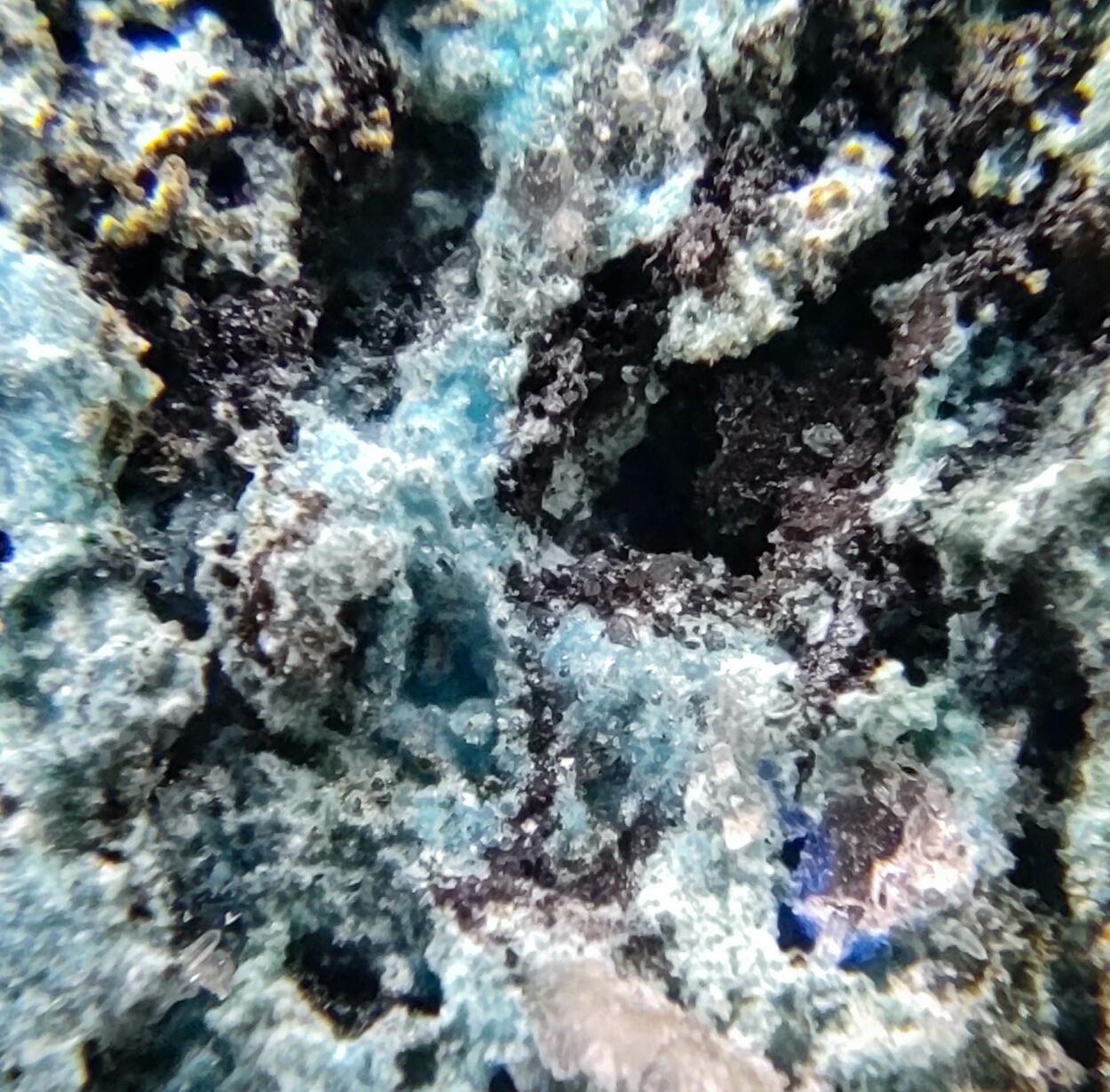 Devilline Chalcopyrite & Galena