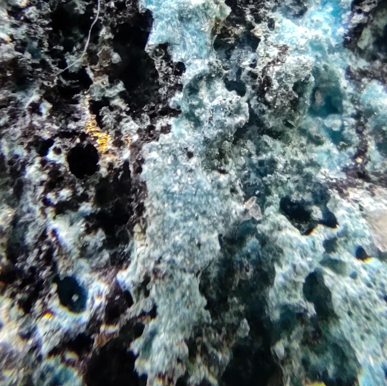 Devilline Chalcopyrite & Galena