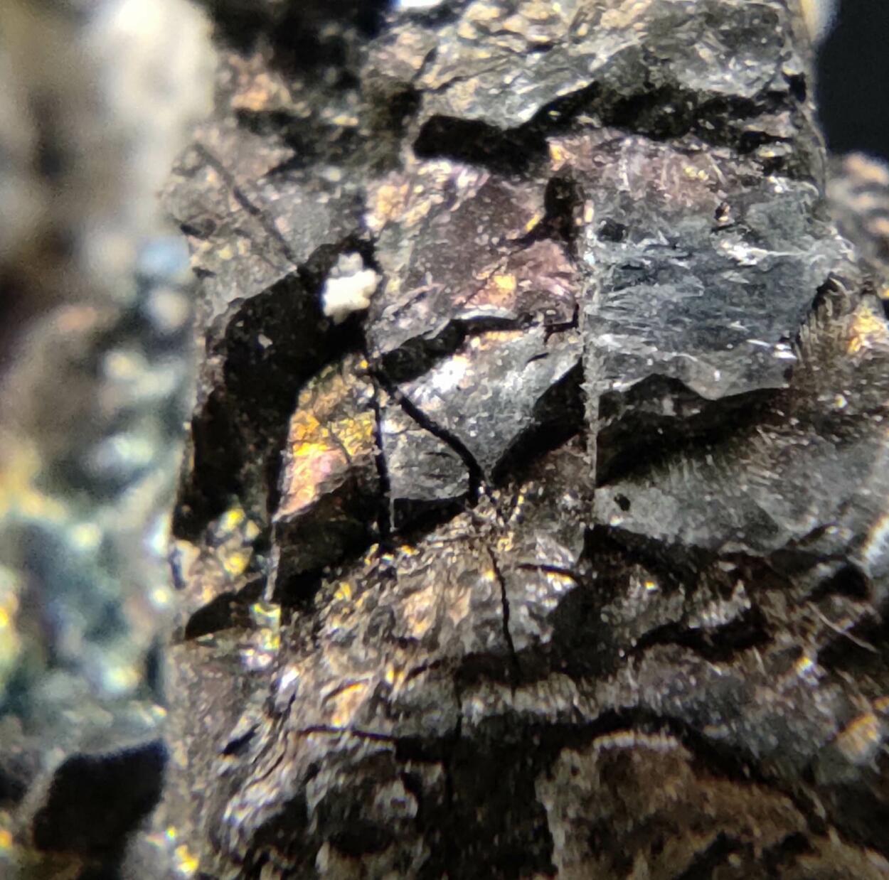 Parisite-(Ce) & Rhabdophane-(Ce)