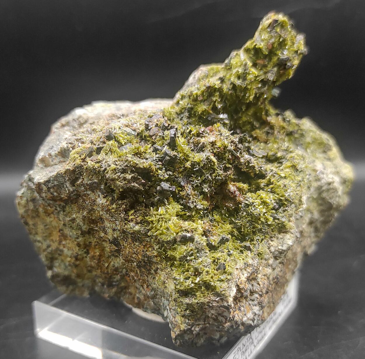 Epidote Ferro-actinolite & Pyrite