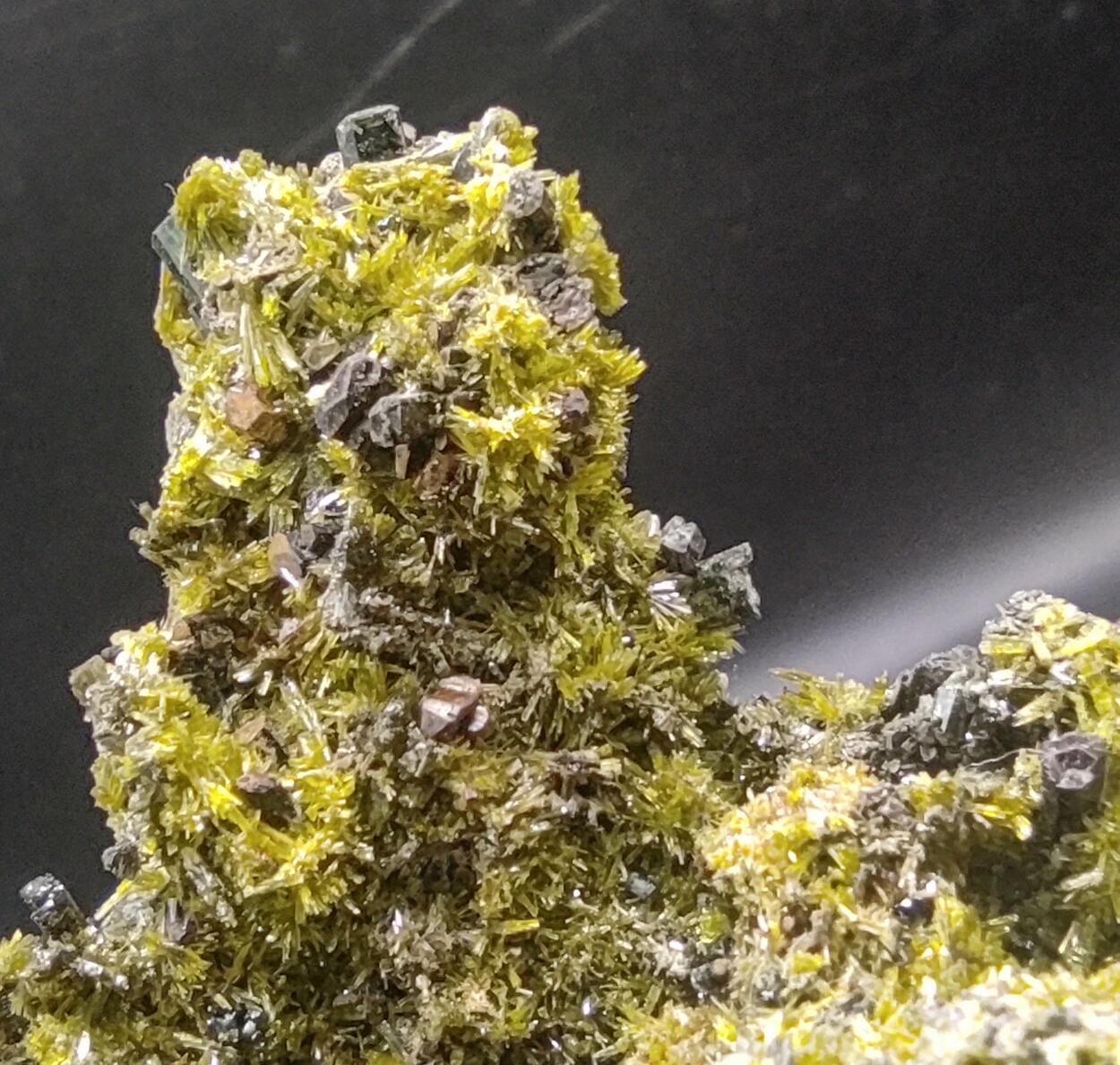 Epidote Ferro-actinolite & Pyrite