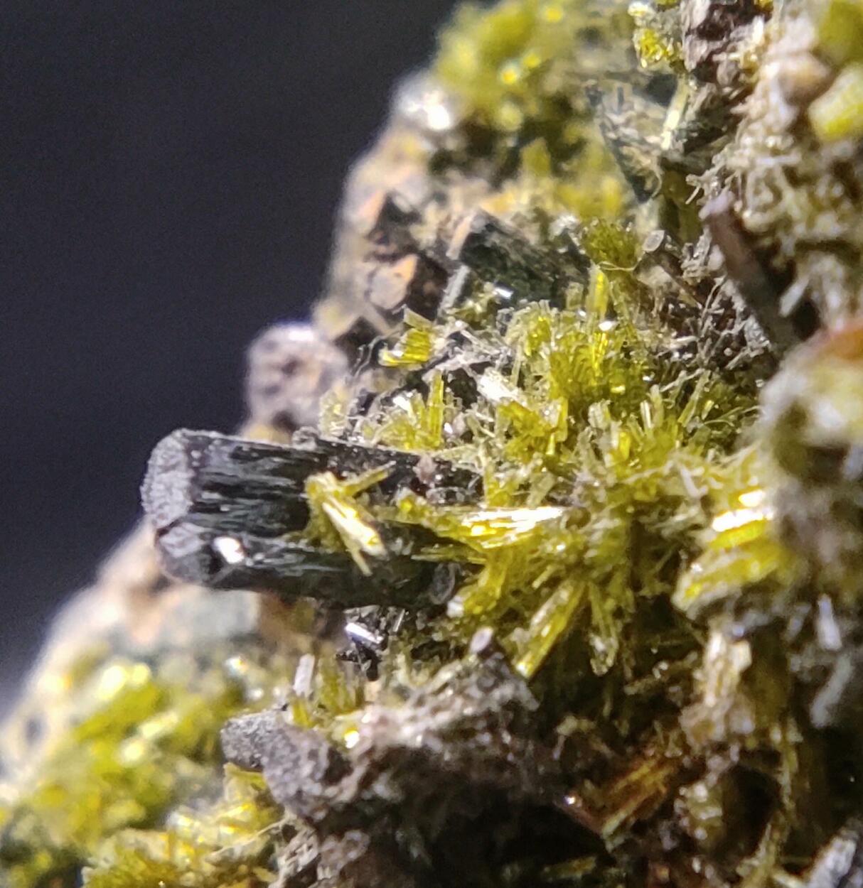 Epidote Ferro-actinolite & Pyrite