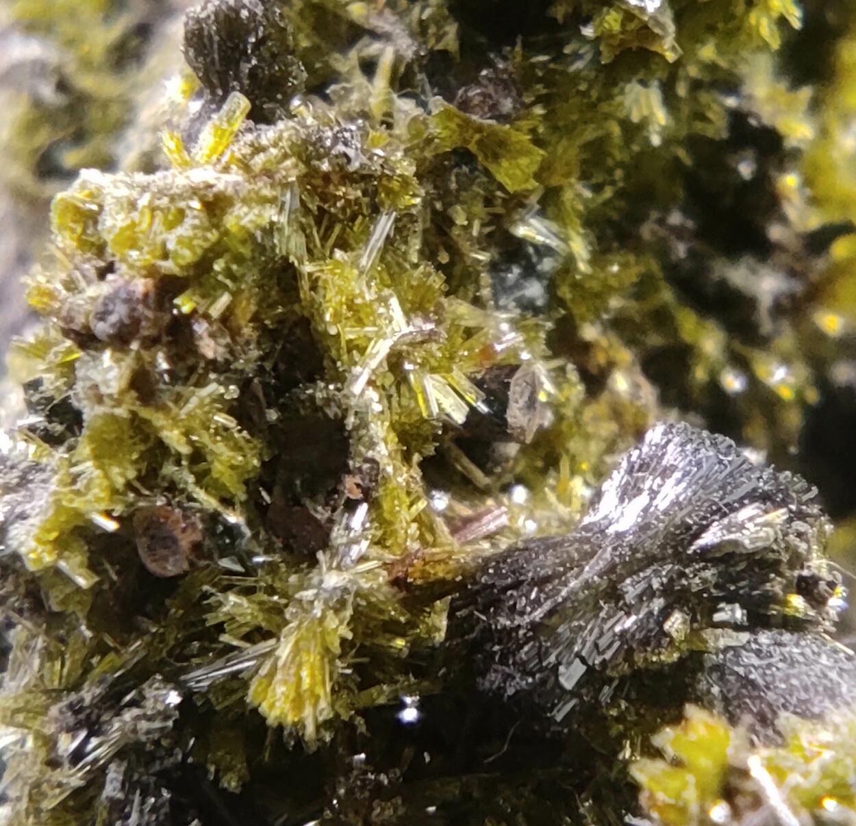 Epidote Ferro-actinolite & Pyrite