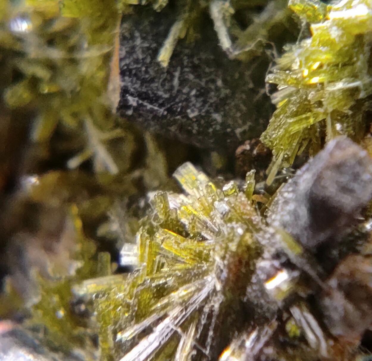 Epidote Ferro-actinolite & Pyrite