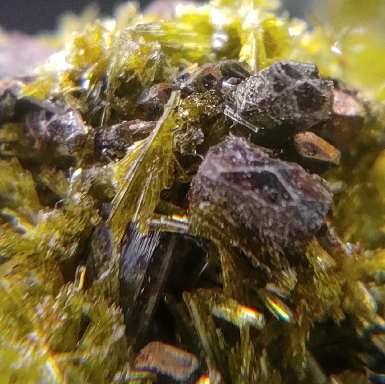 Epidote Ferro-actinolite & Pyrite