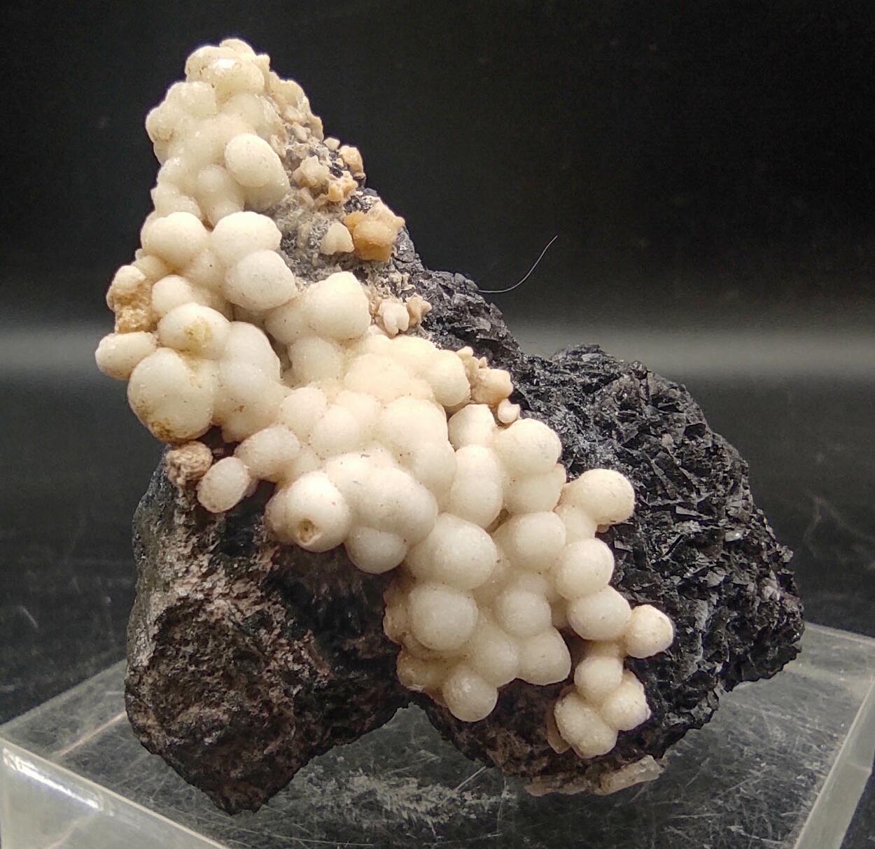 Aragonite & Calcite On Siderite