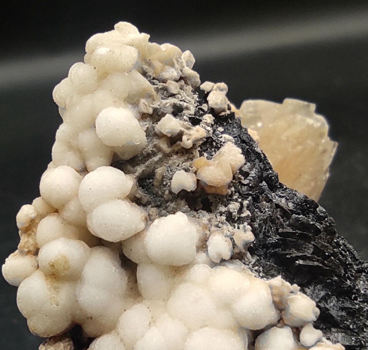 Aragonite & Calcite On Siderite