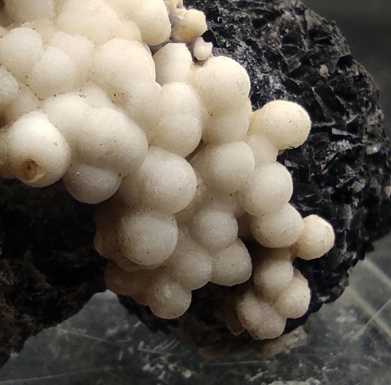 Aragonite & Calcite On Siderite