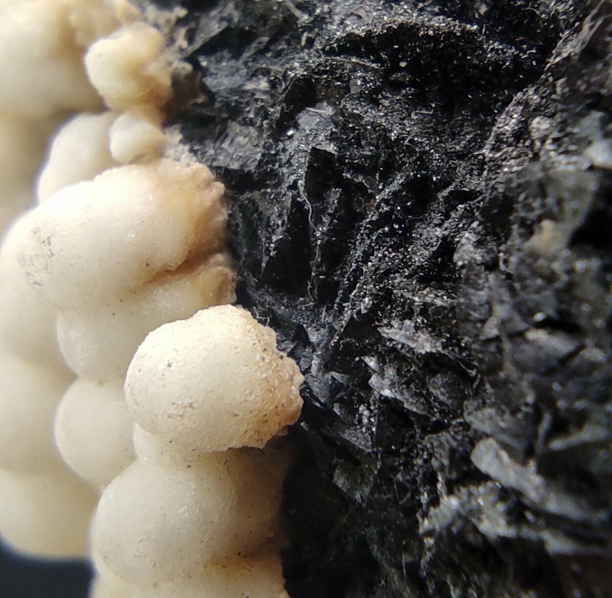 Aragonite & Calcite On Siderite