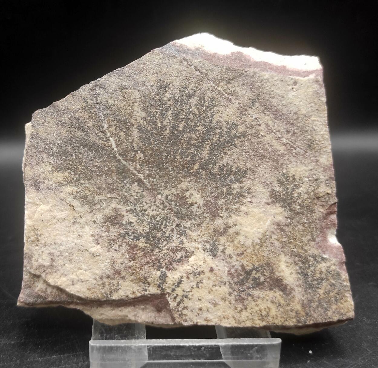 Manganese Oxides Var Manganese Dendrites