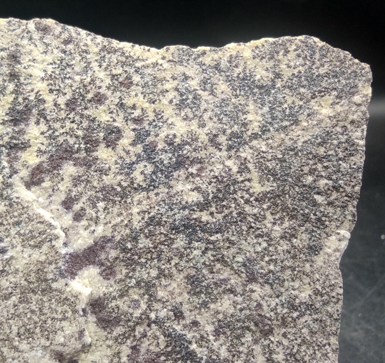 Manganese Oxides Var Manganese Dendrites