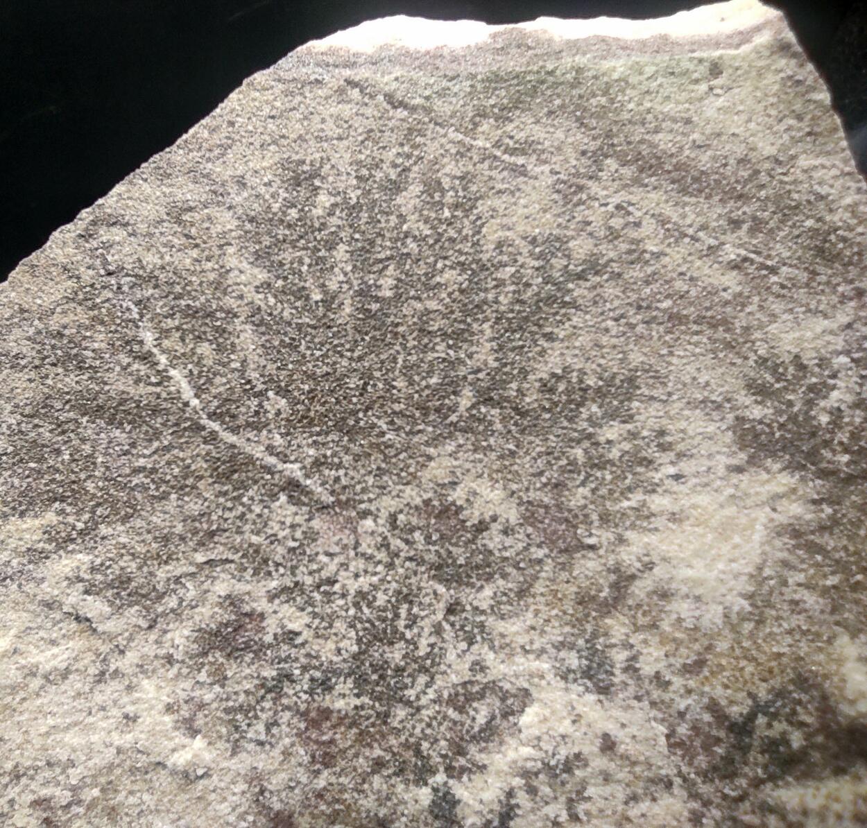 Manganese Oxides Var Manganese Dendrites