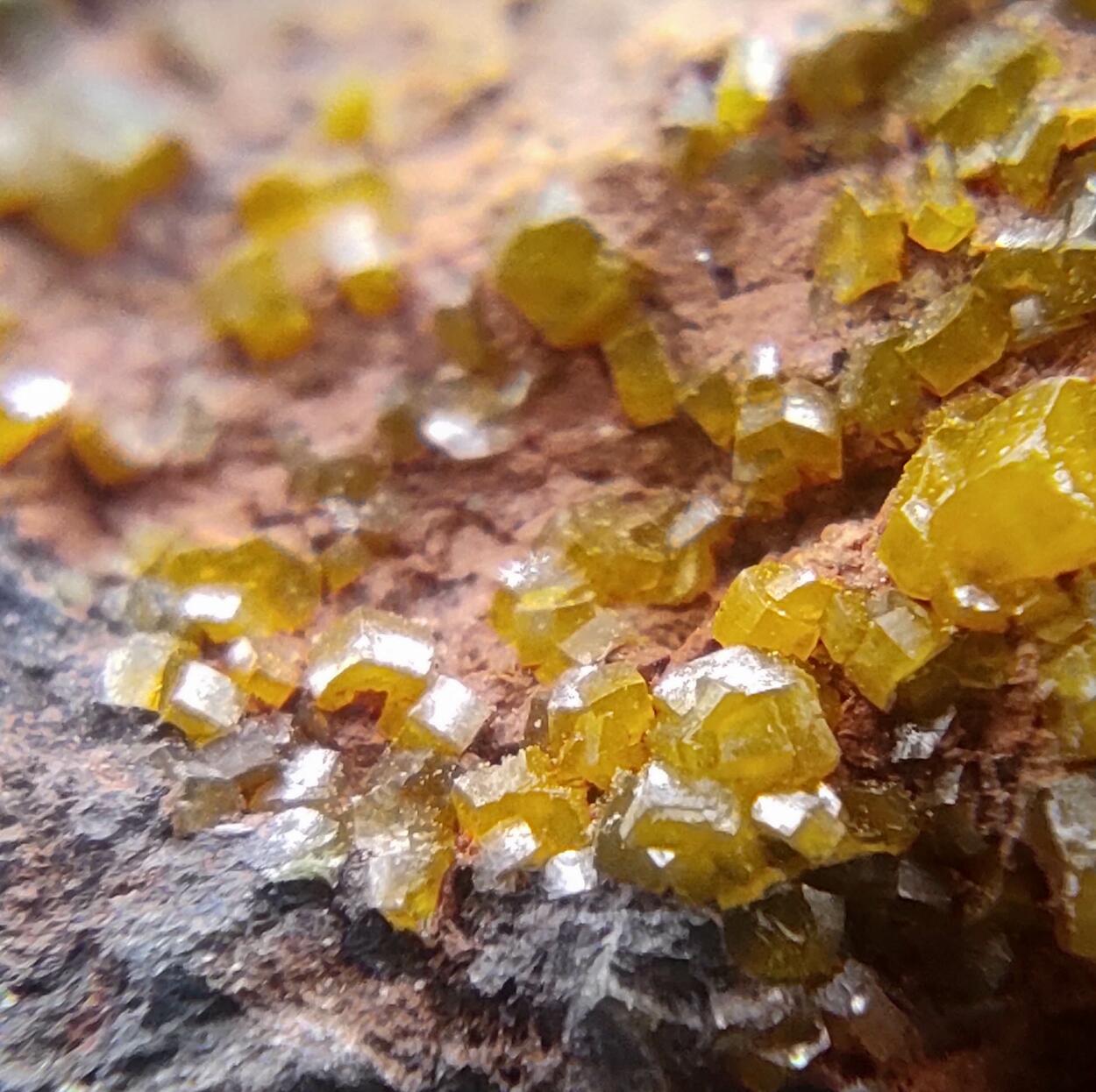 Mimetite & Campyllite