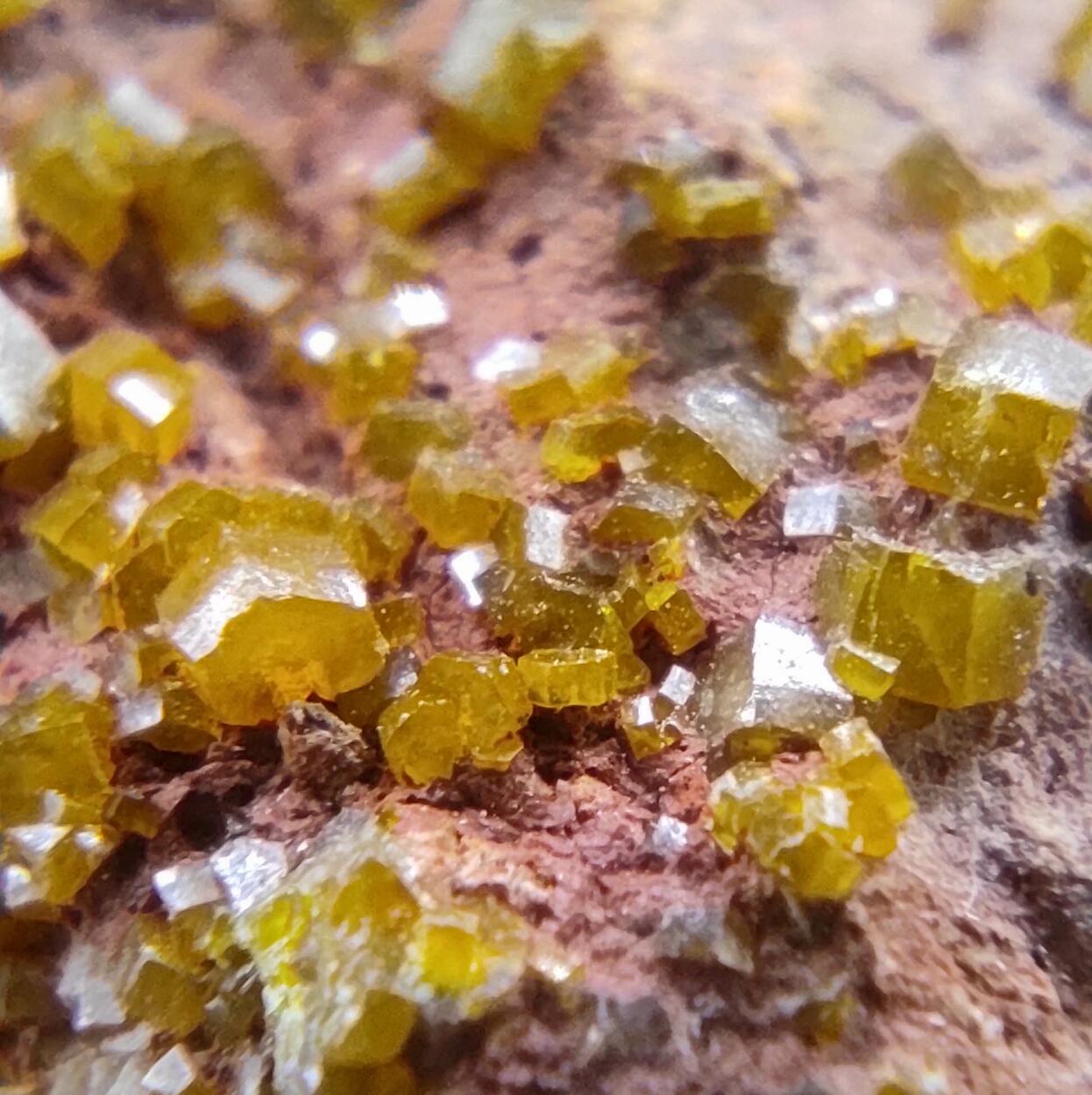 Mimetite & Campyllite