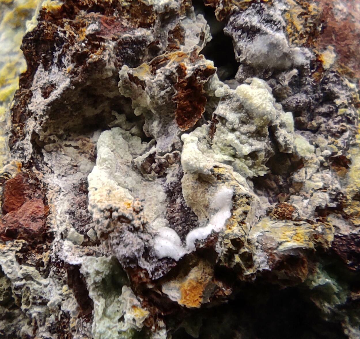 Montgomeryite & Tinticite