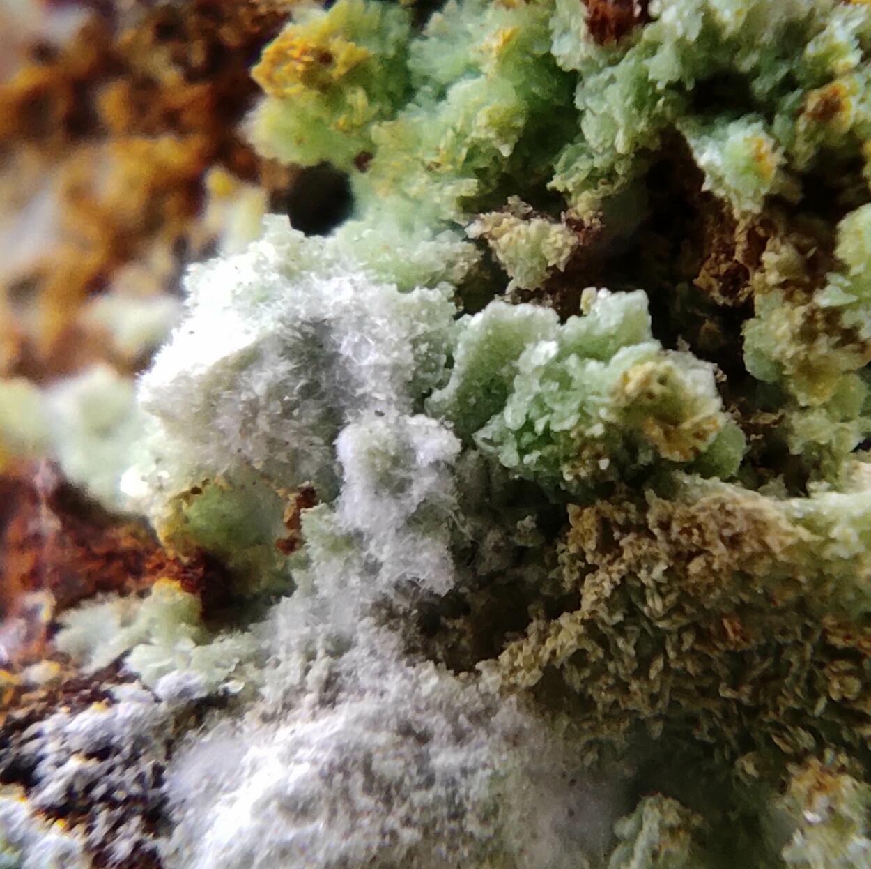 Montgomeryite & Tinticite