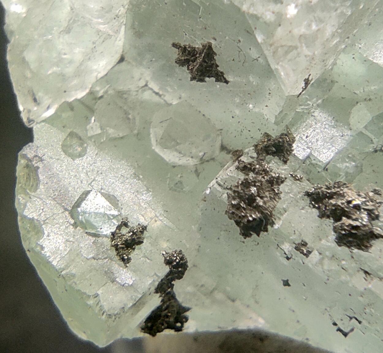 Fluorite & Pyrite