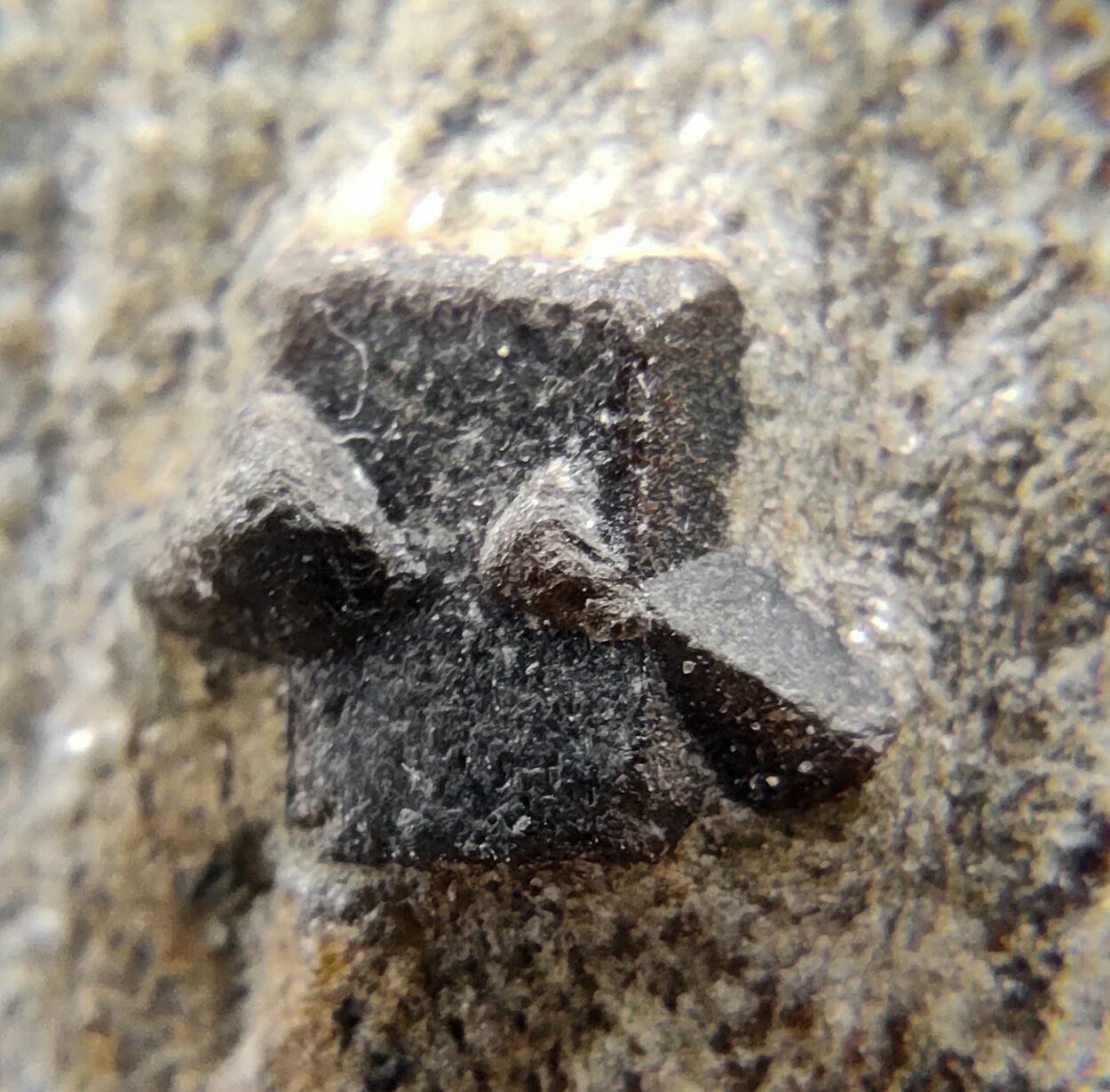 Staurolite
