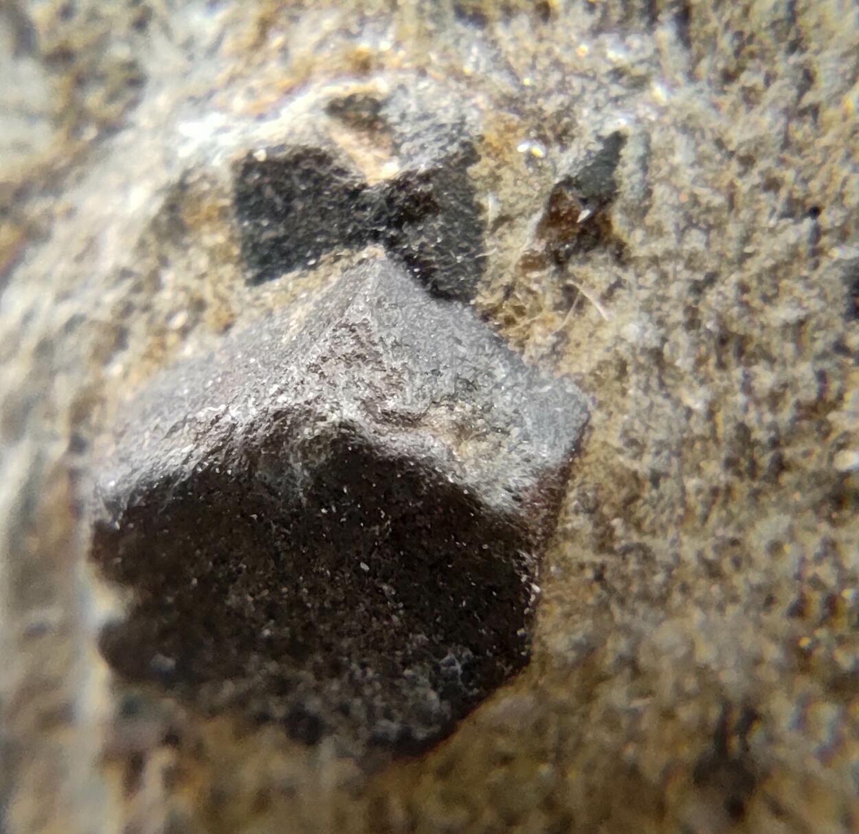 Staurolite