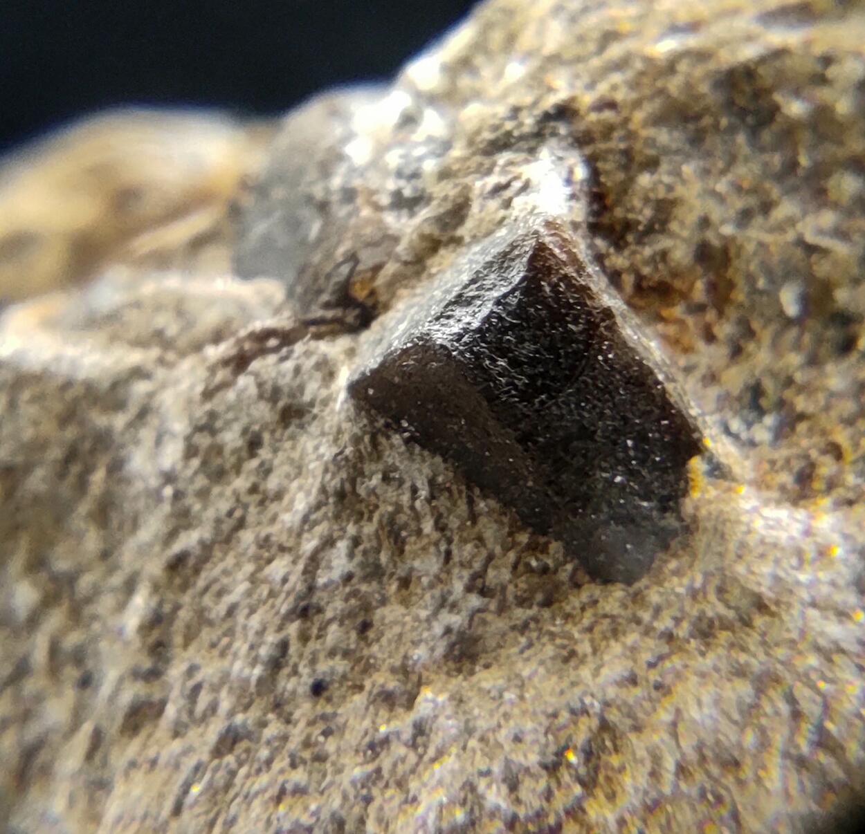 Staurolite