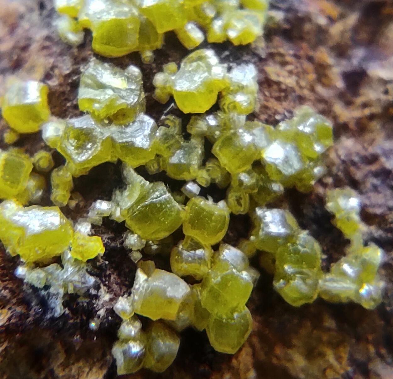 Campylite Mimetite & Cerussite On Limonite & Goethite