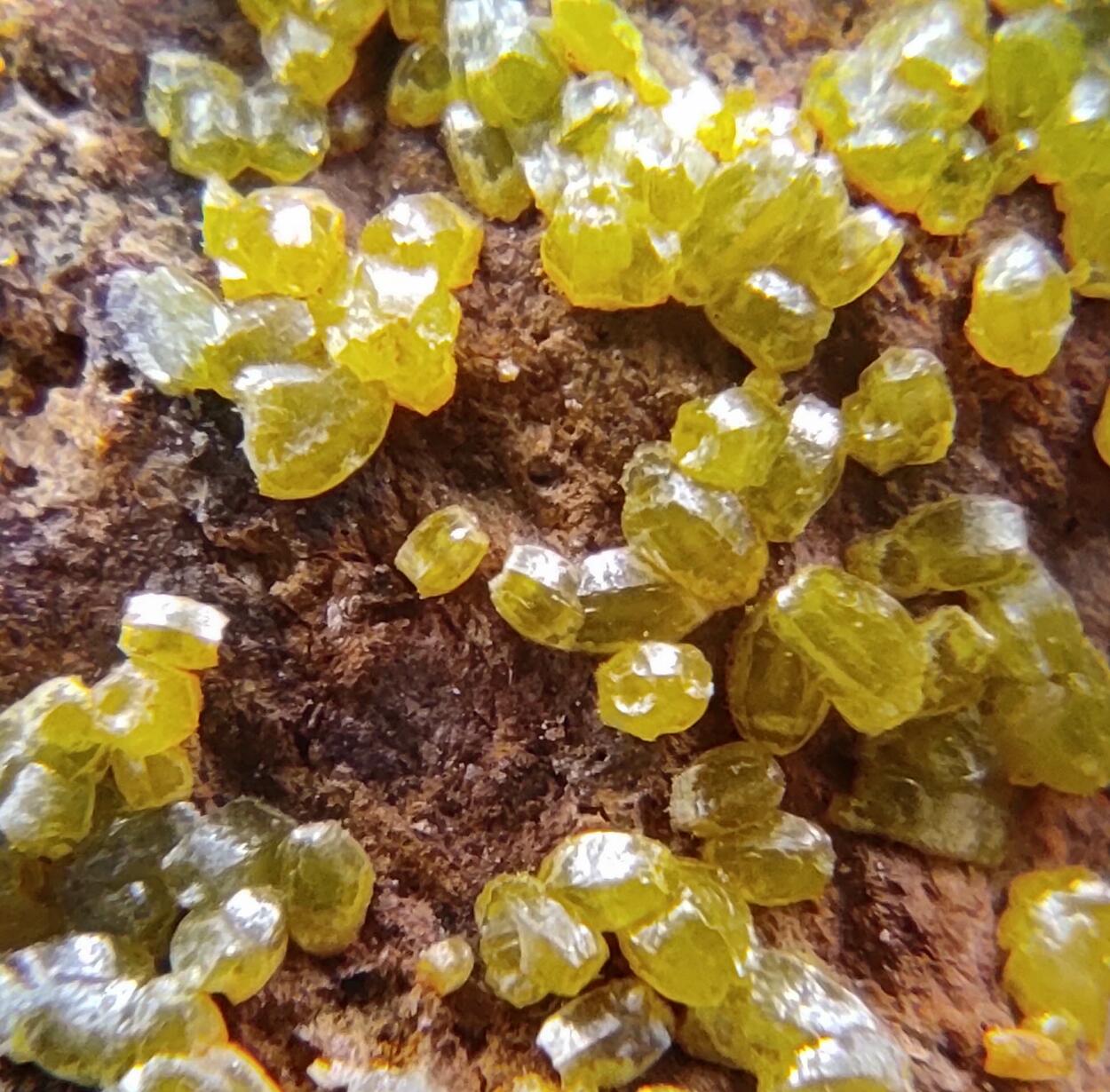 Campylite Mimetite & Cerussite On Limonite & Goethite