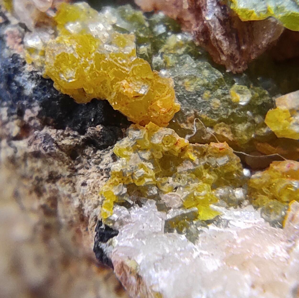 Campylite Mimetite & Cerussite On Limonite & Goethite