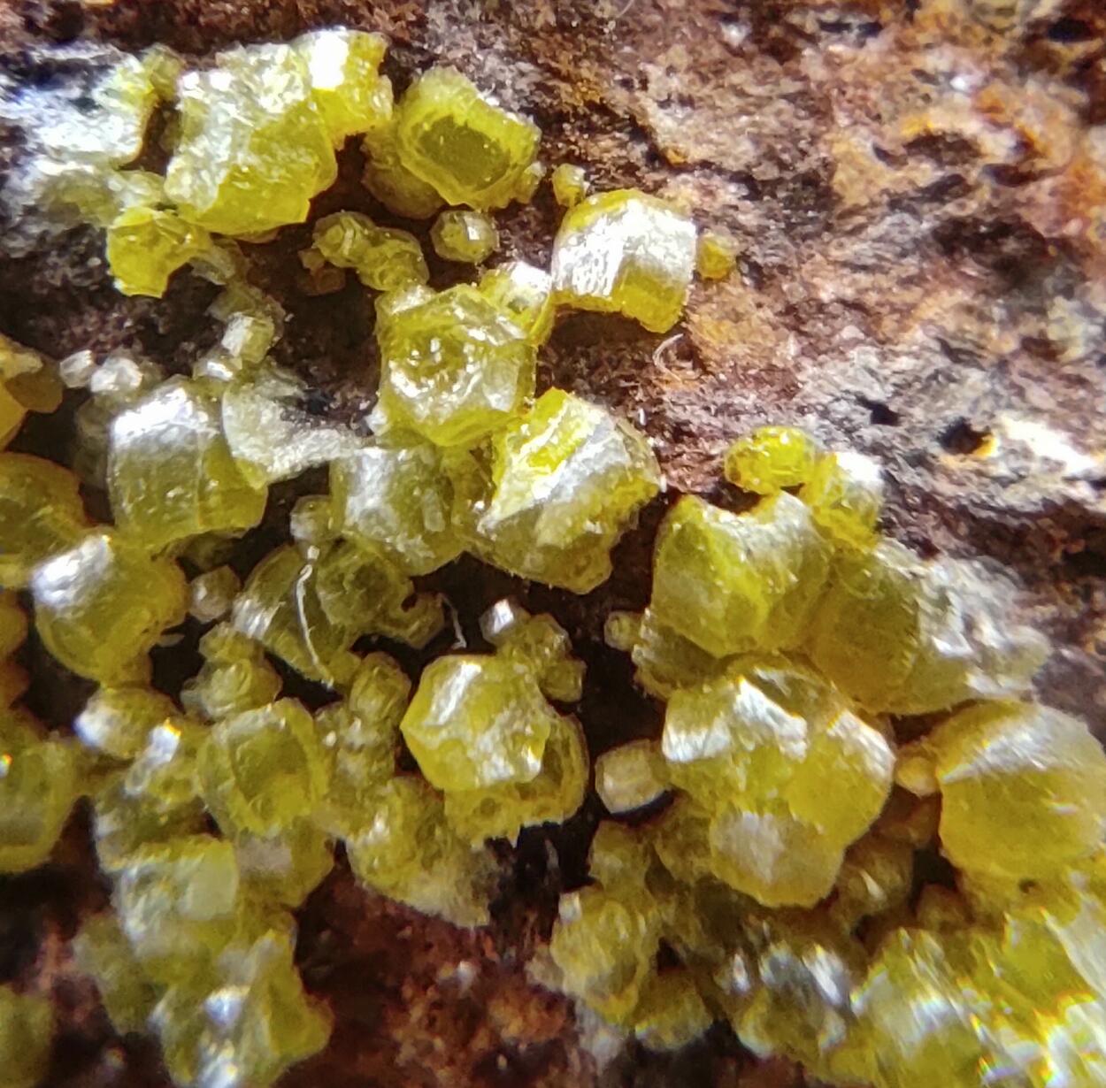 Campylite Mimetite & Cerussite On Limonite & Goethite