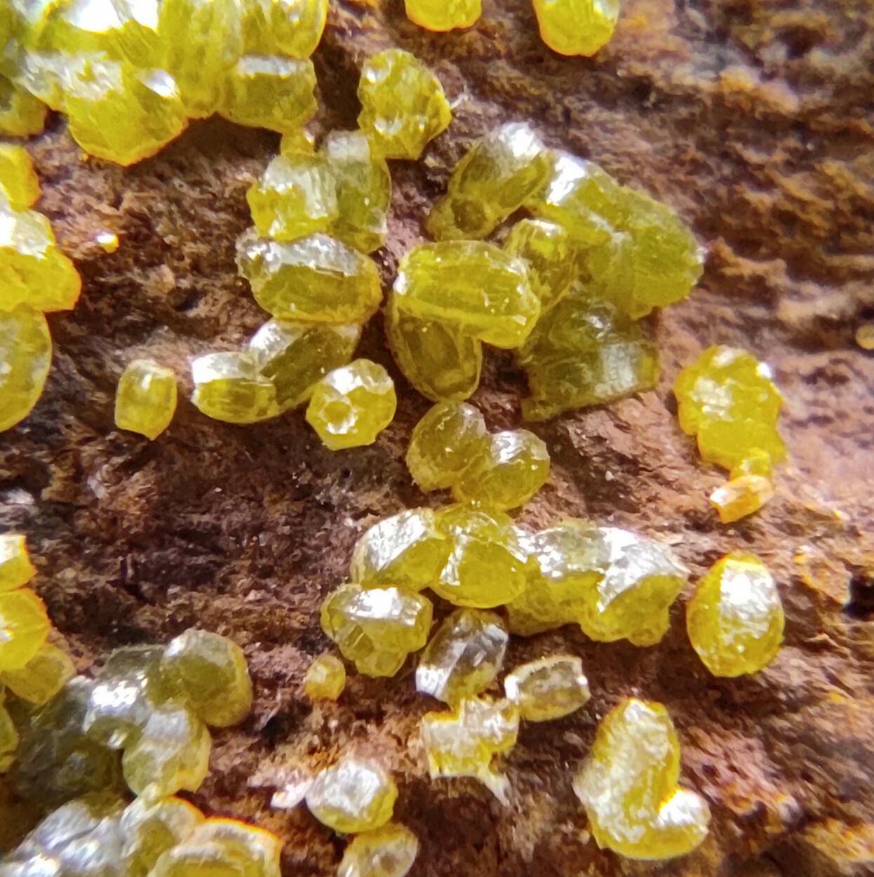 Campylite Mimetite & Cerussite On Limonite & Goethite