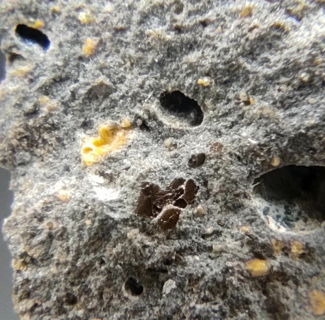 Roedderite & Chayesite